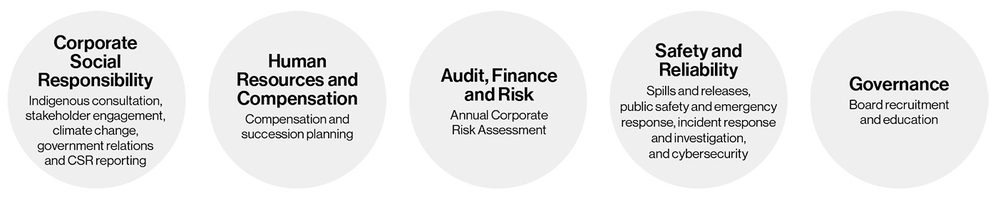 Board ESG Oversight diagram